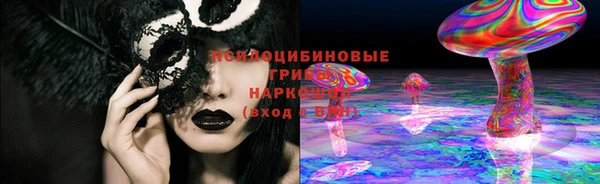 прущие грибы Елабуга