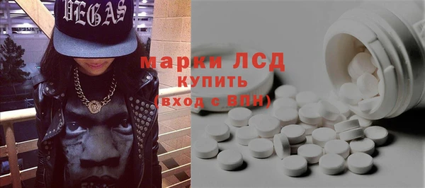 прущие грибы Елабуга