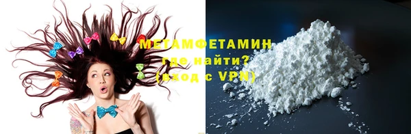 прущие грибы Елабуга
