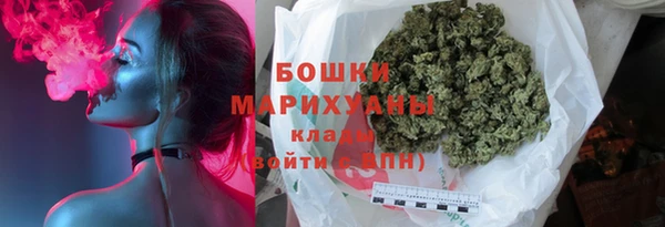 прущие грибы Елабуга
