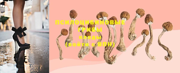 герыч Елизово