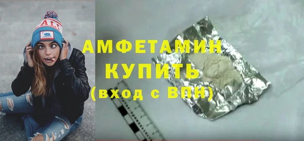 прущие грибы Елабуга