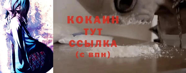 Альфа ПВП Ельня