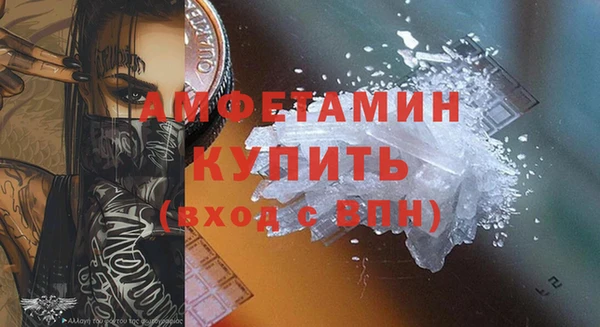 прущие грибы Елабуга