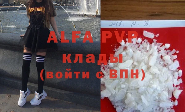 прущие грибы Елабуга