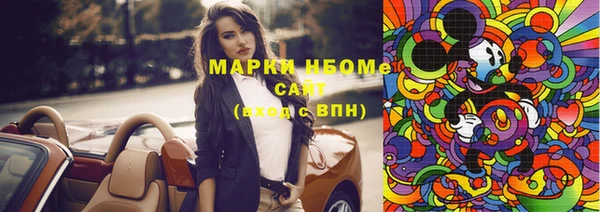 прущие грибы Елабуга