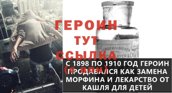прущие грибы Елабуга