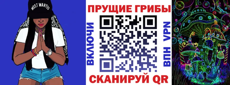 где найти наркотики  Кандалакша  MEGA маркетплейс  Галлюциногенные грибы Magic Shrooms 