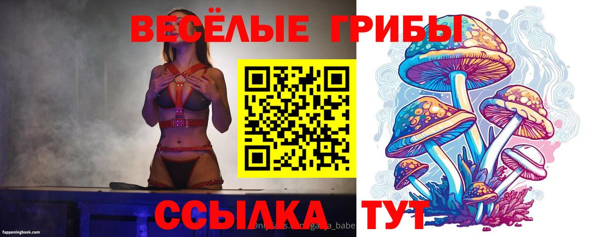 Галлюциногенные грибы мухоморы Кандалакша